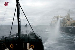 Sea Shepherd Conservation Society im Einsatz gegen Walfänger (Copyright www.seashepherd.org)